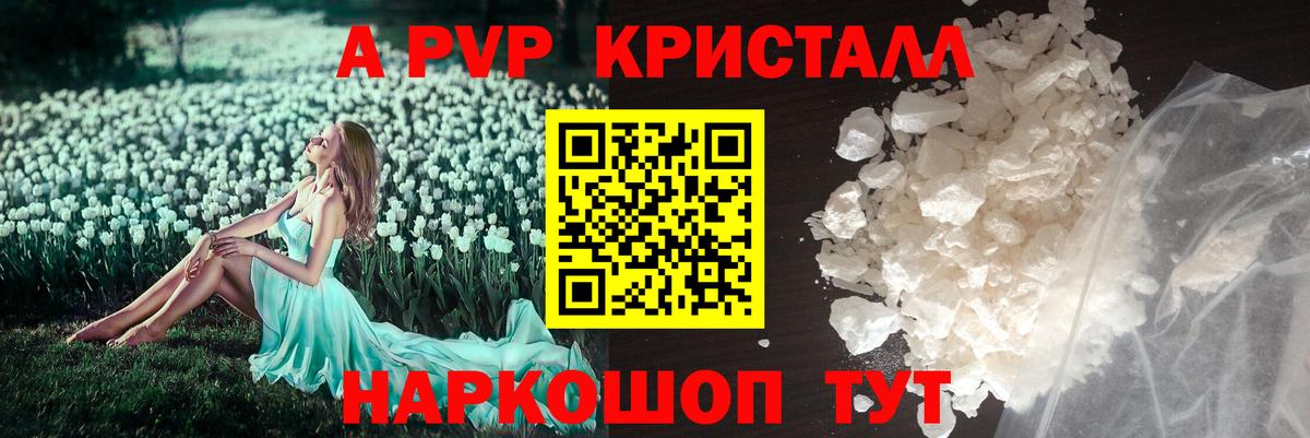 A-PVP СК Новошахтинск