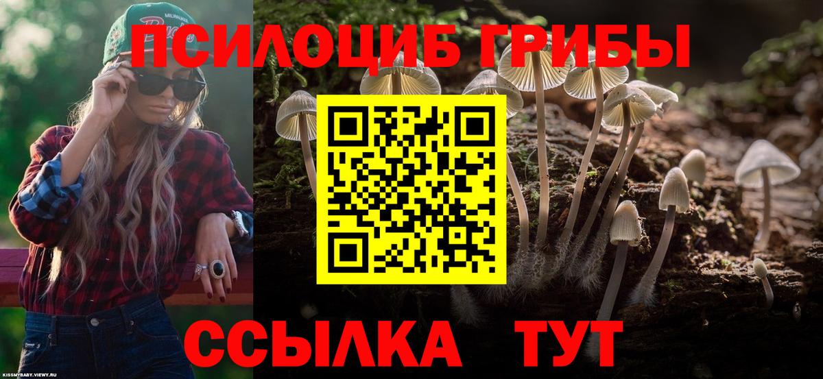 Галлюциногенные грибы мухоморы Новошахтинск