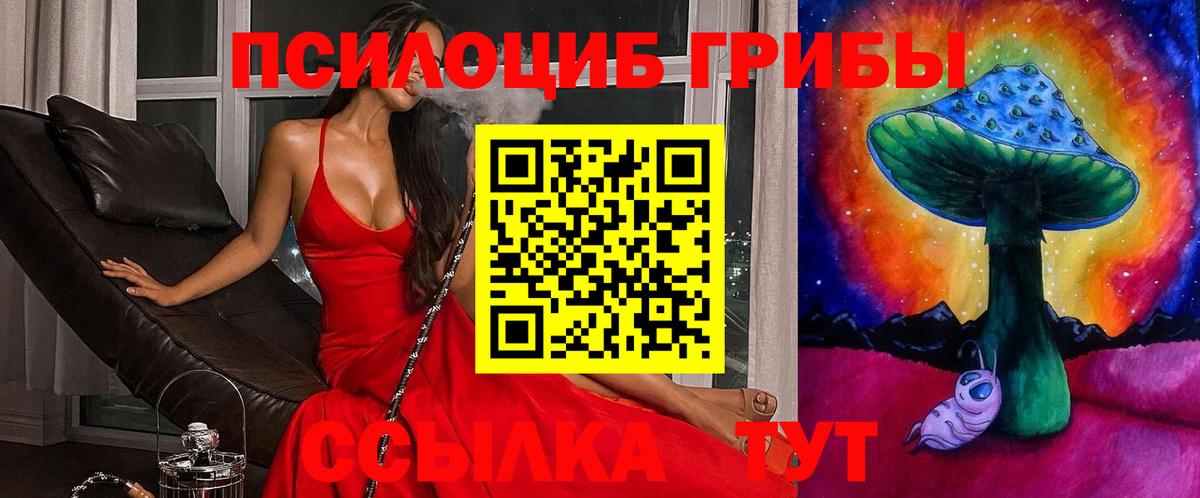 Псилоцибиновые грибы Cubensis  купить закладку  Галлюциногенные грибы ЛСД  Новошахтинск  Вход с VPN 